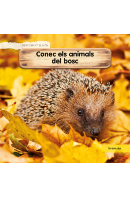 Conec els animals del bosc