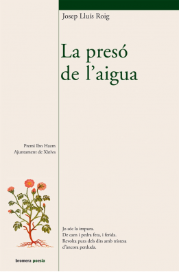 La presó de l'aigua