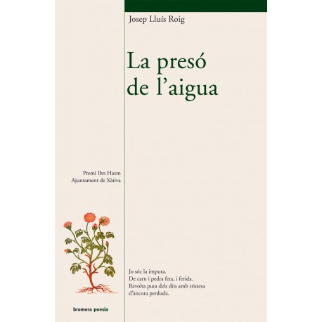 La presó de l'aigua