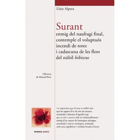 Surant enmig del naufragi...