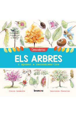 Descobrisc els arbres i aprenc a reconéixer-los