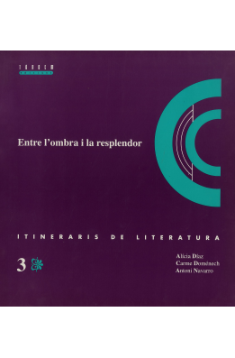 Entre l'ombra i la resplandor