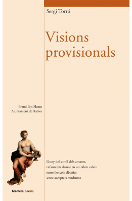 Visions provisionals
