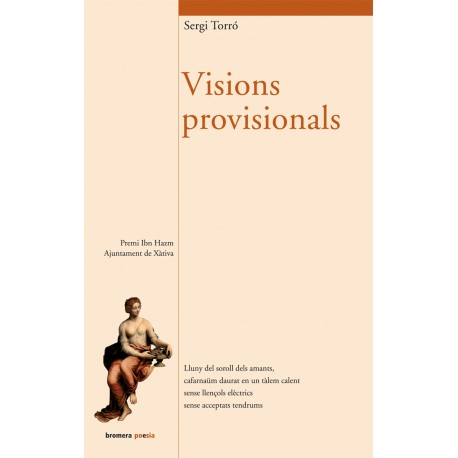 Visions provisionals