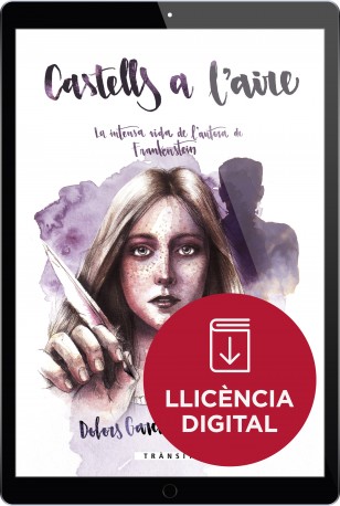 Castells a l'aire (llicència digital)