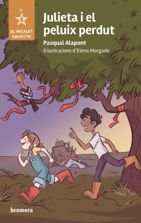 Julieta i el peluix perdut