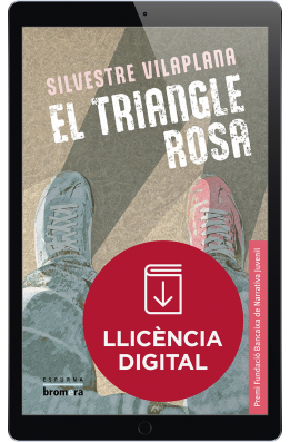 El triangle rosa (llicència digital)