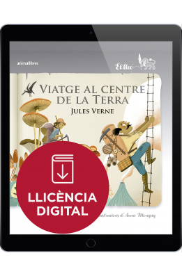 Viatge al centre de la Terra