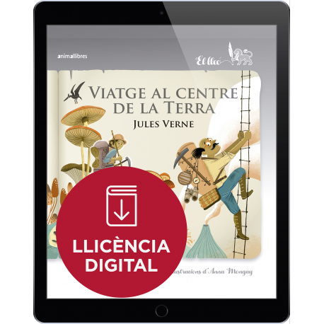 Viatge al centre de la Terra