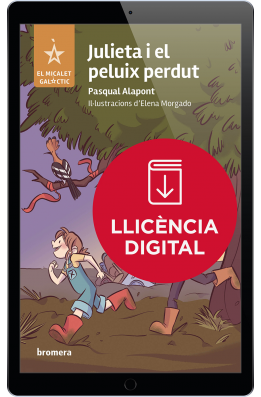 Julieta i el peluix perdut