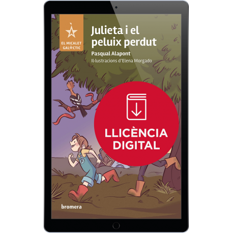 Julieta i el peluix perdut