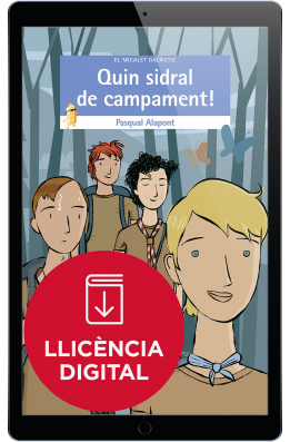 Quin sidral de campament!