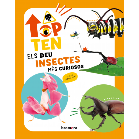 Top Ten Els deu insectes més curiosos