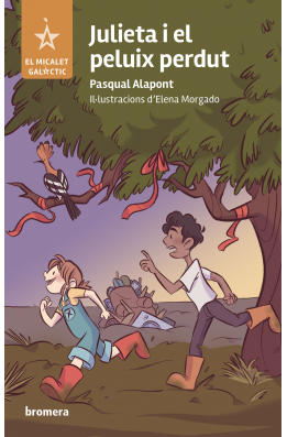 Julieta i el peluix perdut