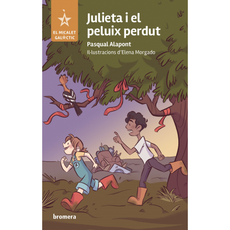 Julieta i el peluix perdut