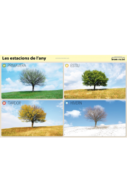 Làmines per a l'aula