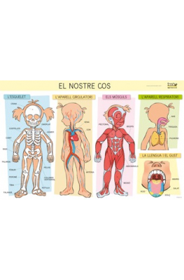 Làmines per a l'aula