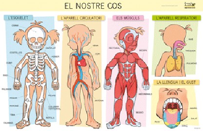 Làmines per a l'aula