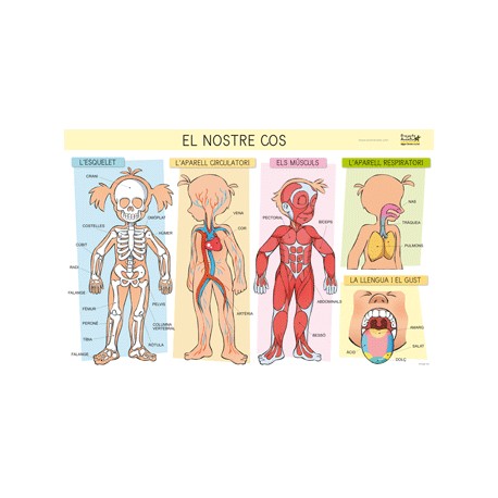 Làmines per a l'aula