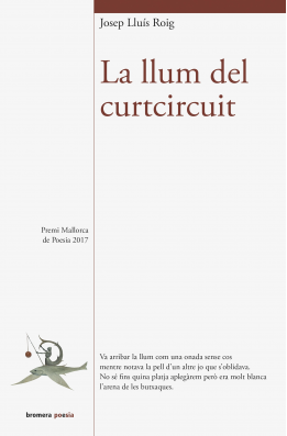 La llum del curtcircuit