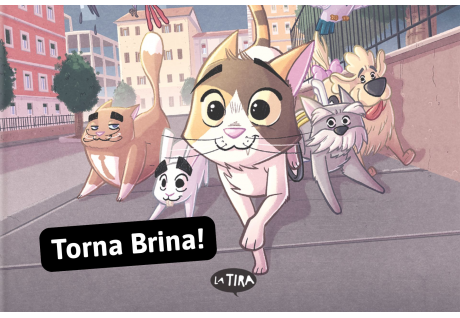 Torna Brina, la gateta més curiosa, amb una aventura ideal per als qui estimen els animals i les aventures